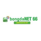 bongdanet66dev