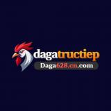 dagatructiepdiy