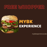 Mybkexperiencedev