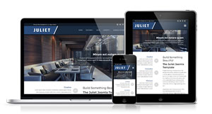 Juliet - Striking Design to Showcase your Business