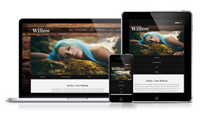 Willow - A Stylish Ornate Template Solution